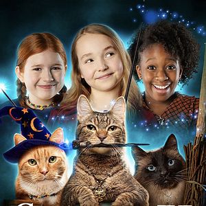 Bilder Hexen und Katzen