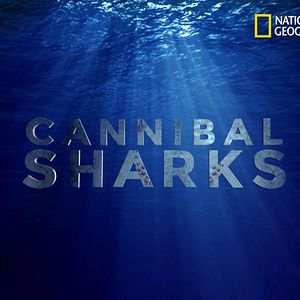 Bilder Cannibal Sharks