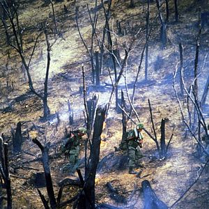 Bilder Die Verdammten des Krieges