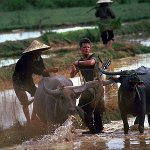 Bilder Die Verdammten des Krieges