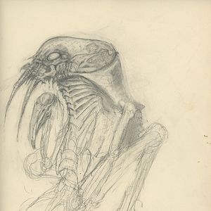 Bilder Memory - Über die Entstehung von ALIEN