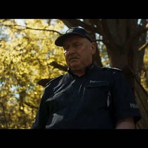 Bilder Nobody Sleeps In The Woods Tonight - Teil 2