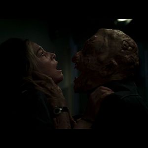 Bilder Nobody Sleeps In The Woods Tonight - Teil 2