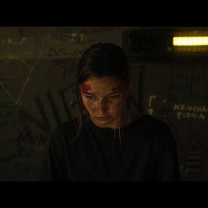 Bilder Nobody Sleeps In The Woods Tonight - Teil 2