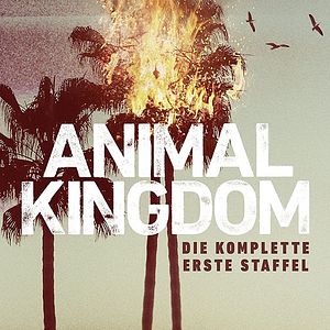 Bilder Animal Kingdom