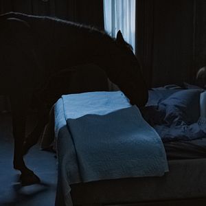 Bilder Mara - Die rechte Hand des Teufels