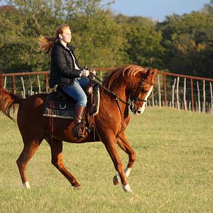 Bilder Glory - Eine ungezähmte Freundschaft