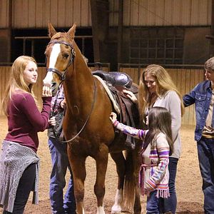Bilder Glory - Eine ungezähmte Freundschaft