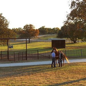 Bilder Glory - Eine ungezähmte Freundschaft