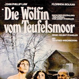 Bilder Die Wölfin vom Teufelsmoor