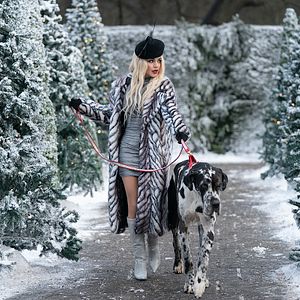 Bilder Prinzessinnentausch 3: Auf der Jagd nach dem Stern