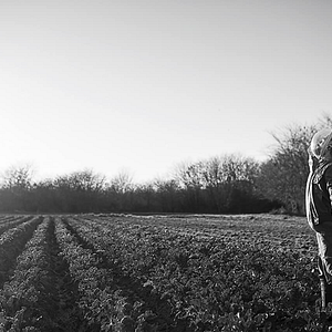 Bilder The Dog Who Wouldn't Be Quiet