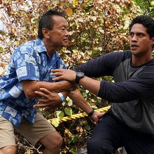 Bilder Navy CIS: Hawaii