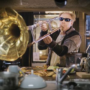 Bilder Träume sind wie wilde Tiger