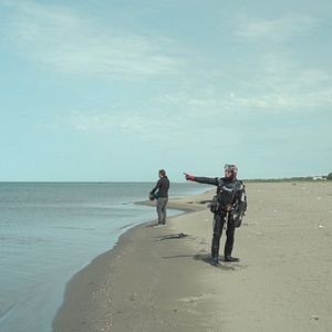 Bilder Die Zähmung der Bäume - Taming the Garden