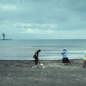 Bilder Die Zähmung der Bäume - Taming the Garden