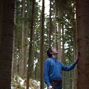 Bilder The Quest for Tonewood