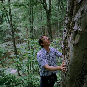 Bilder The Quest for Tonewood