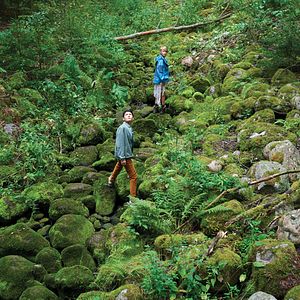 Bilder Erster Schnee