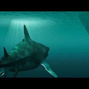 Bilder Megalodon Rising - Dieses Mal kommt er nicht allein