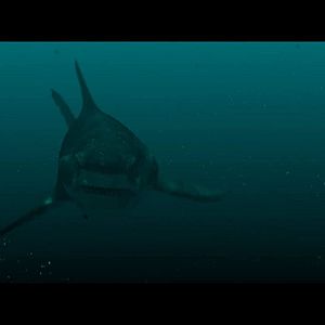 Bilder Megalodon Rising - Dieses Mal kommt er nicht allein