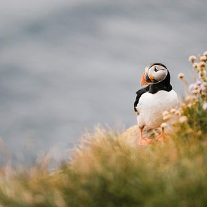 Bilder Hotspot - Island zwischen Massentourismus und Einsamkeit