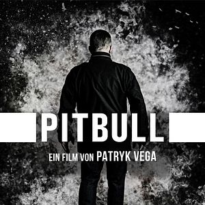 Bilder Pitbull