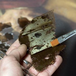 Bilder In den Uffizien