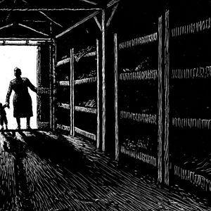 Bilder W. – Was von der Lüge bleibt