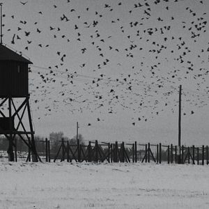 Bilder W. – Was von der Lüge bleibt