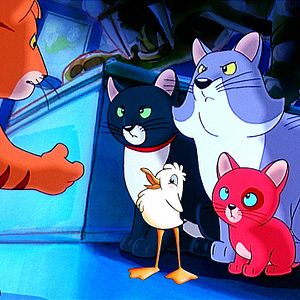 Bilder Wie Kater Zorbas der kleinen Möwe Lucky das Fliegen beibrachte