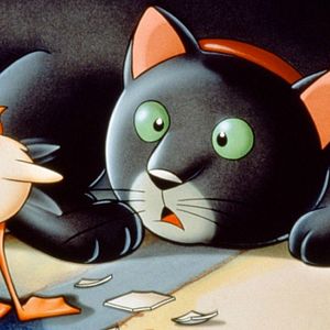 Bilder Wie Kater Zorbas der kleinen Möwe Lucky das Fliegen beibrachte