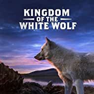 Bilder Kingdom of the White Wolf