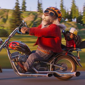 Bilder Sing 2 - Die Show Deines Lebens