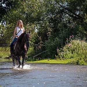 Bilder Immenhof 2 - Das große Versprechen