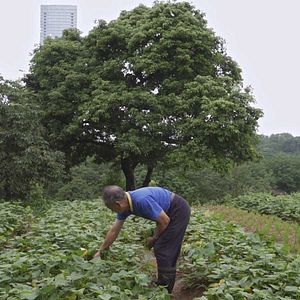 Bilder Guanzhou, une nouvelle ère