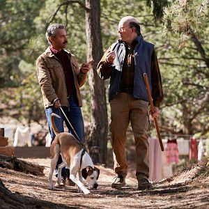 Bilder Omar Metwally