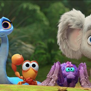 Bilder Zurück ins Outback