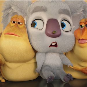 Bilder Zurück ins Outback