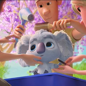 Bilder Zurück ins Outback