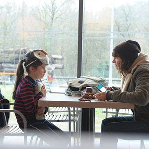 Bilder Capucine Sainson-Fabresse