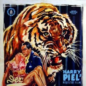 Bilder Der Tiger Akbar