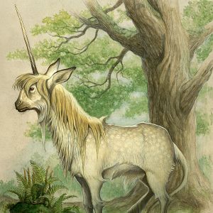 Bilder Die Geheimnisse der Spiderwicks