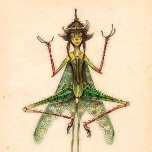 Bilder Die Geheimnisse der Spiderwicks