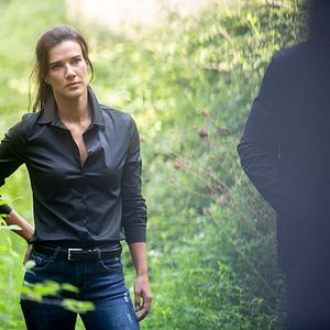 Bilder Hard Night Falling