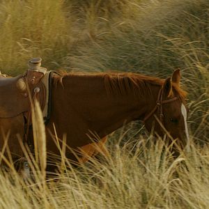 Bilder Vergeltung - Revenge Is Coming