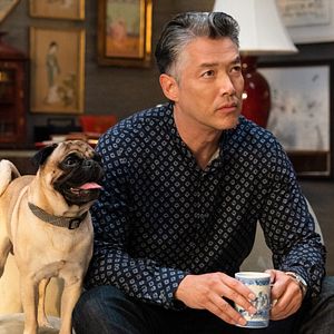 Bilder Clifford der große rote Hund