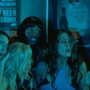 Bilder Cicada - Sind die Insekten Bomben?