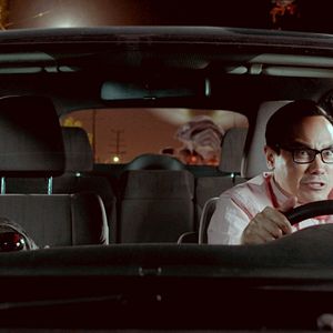 Bilder Cicada - Sind die Insekten Bomben?