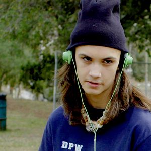 Bilder Cicada - Sind die Insekten Bomben?